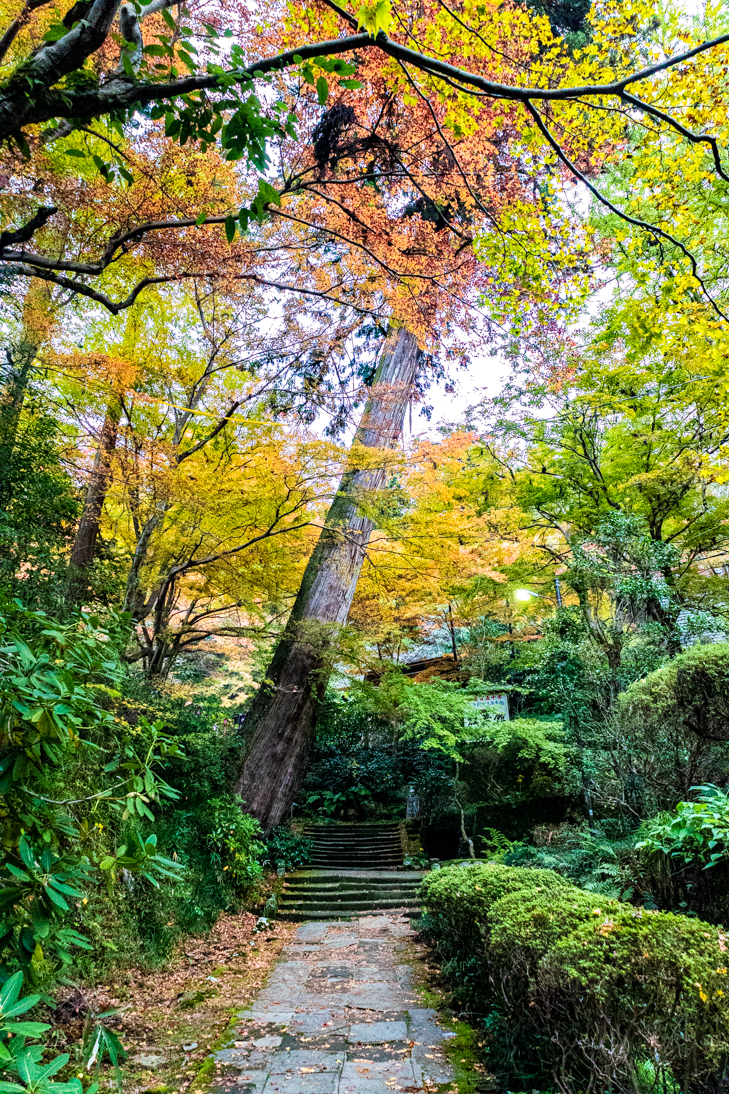 瑞光山清水寺参道