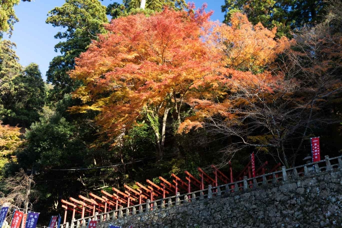 瑞光山清水寺